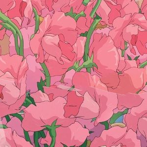 Meet your Posher, Briana